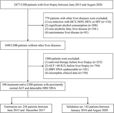 Development and Validation of a Non-invasive Model to Predict Liver Histological Lesions in Chronic Hepatitis B Patients With Persistently Normal Alanine Aminotransferase and Detectable Viremia